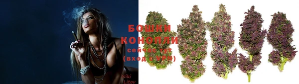марки nbome Ельня