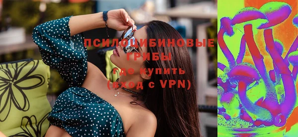 марки nbome Ельня