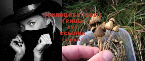 мескалин Елабуга