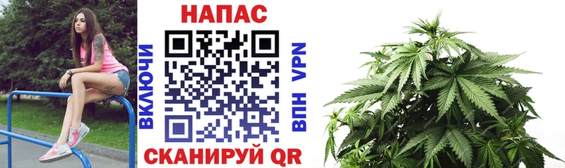Бошки марихуана гибрид  Дятьково 